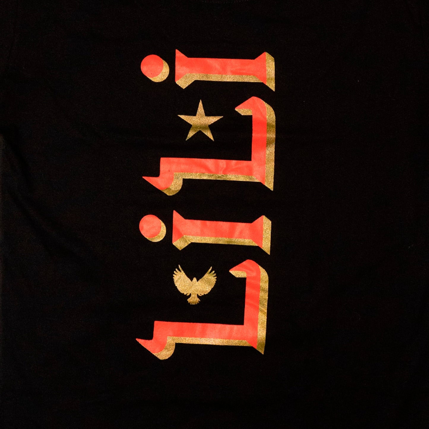 Camiseta Lili Preto Don L